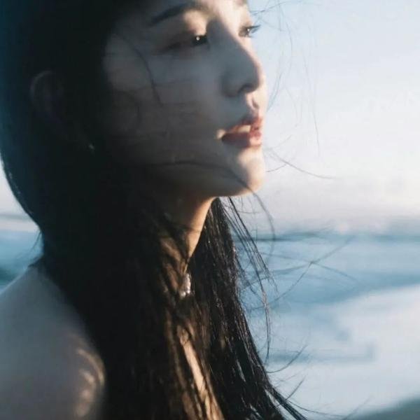 篷车队 封面